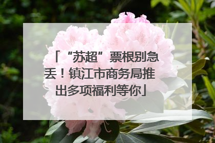 “苏超”票根别急丢！镇江市商务局推出多项福利等你